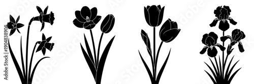 Flowers silhouette set with black petals and leaves on white background featuring nature, floral, plants with garden and botanical elements for vector, illustration projects, clean composition on