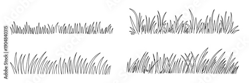 Grass hand-drawn set with various styles and textures, including fine lines and thicker strokes, showcasing natural growth patterns and organic shapes
