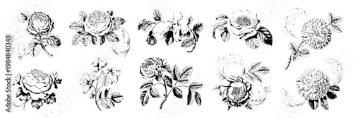 Flowers vintage set with intricate black and white designs and detailed petals and leaves featuring floral, botanical, illustration with classic and elegant elements for nature, plants projects,
