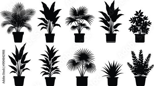Black vector silhouettes of decorative potted plants with diverse foliage and leaf designs, isolated botanical clipart illustration for garden decor, nature artwork, and creative design projects