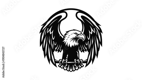a striking black and white eagle illustration with detailed wings powerful silhouette