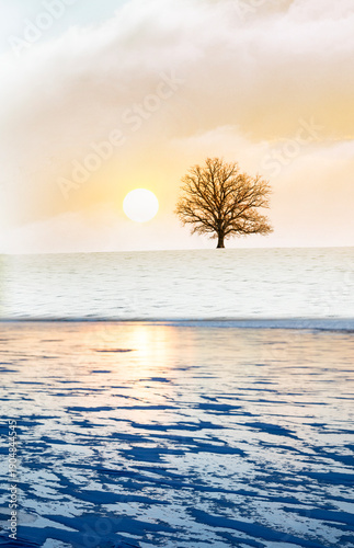 Baum auf einem Hügel mit einem gefrorenen See