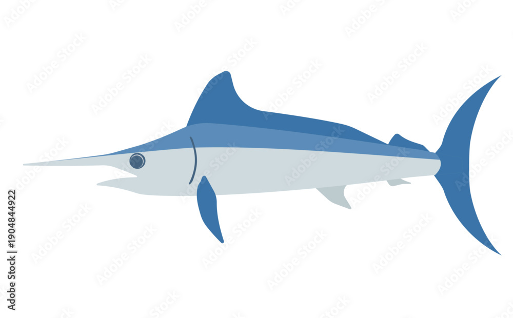 Obraz premium カジキマグロのイラスト