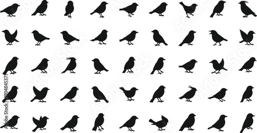 Collection of various black bird silhouettes in different poses