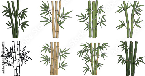 Bamboo plant collection vector illustration set with green natural stems and leaves botanical Asian style elements