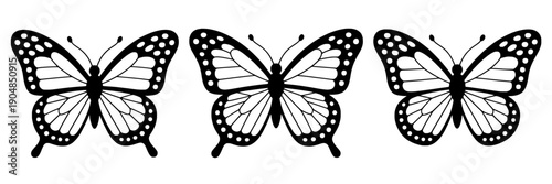 Butterflies line art set with intricate patterns and dotted details in black and white featuring nature, insects, vector with illustration and design elements for elegant, minimalist projects, clean