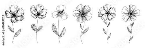 Flowers hand-drawn set with delicate petals and stems in black and white line art style featuring floral, nature, illustration with sketch and botanical elements for elegant, minimalist projects,