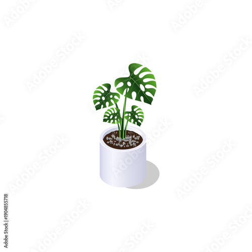 Modern Isometric Monstera Deliciosa Plant in White Pot with Stones, Minimalist Indoor Houseplant Interior Decoration Vector Illustration