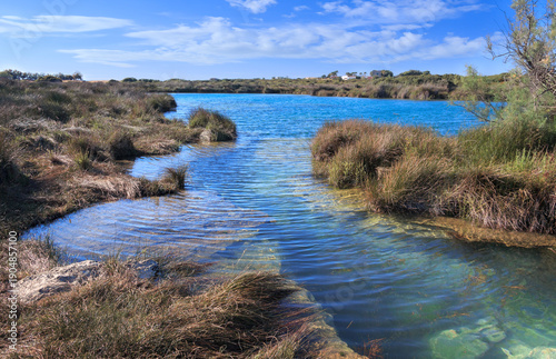 View of the Regional Natural Park Porto Selvaggio and Palude del Capitano in Apulia, Italy: the karst phenomenon has given rise to caves that have collapsed to form puddles of brackish water.