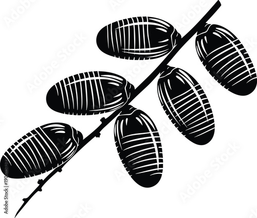 Black and White Illustration of Six Insect Pupae Attached to Branch, Depicting Metamorphosis, Nature, and Educational Biology Concept