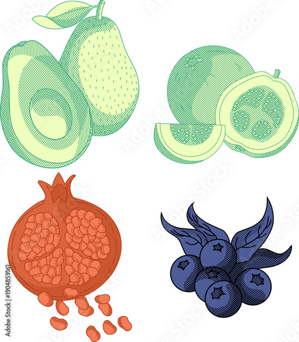 Set of Nutritious Superfood Fruits in Vintage Engraving Style,avocado, guava, pomegranate, and blueberries.perfect for healthy lifestyle branding, organic food packaging, or nutritional educational.