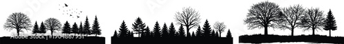 tree silhouette background