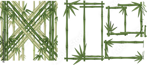 Green bamboo frame and pattern vector set with natural botanical borders decorative Asian style illustration collection