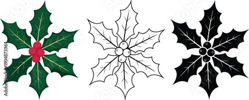 Christmas holly leaves and berries silhouette & Outline and illustration set isolated on transparent background