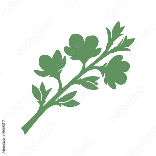 Green herb branch silhouette vector illustration for culinary and botanical design