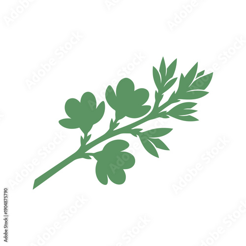 Green parsley herb silhouette vector illustration isolated on white background