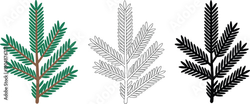 Conifer branch silhouette & Outline and illustration set isolated on transparent background
