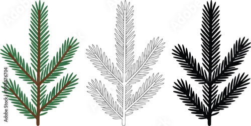 Conifer branch silhouette & Outline and illustration set isolated on transparent background