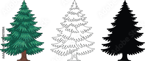Evergreen coniferous tree silhouette & Outline and illustration set isolated on transparent background