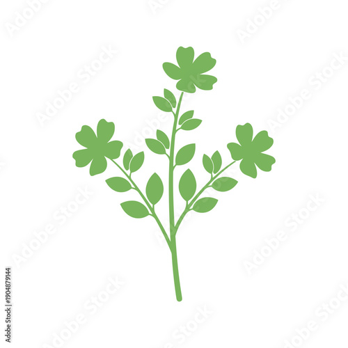 Green parsley herb silhouette vector illustration isolated on white background