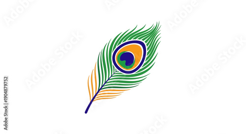 Colorful peacock feather illustration isolated on white background for design