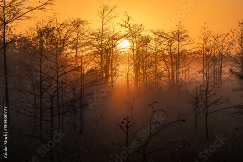 Φωτογραφία sunrise over the everglades national park
