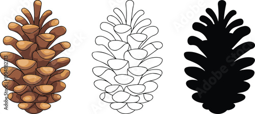Pine cone silhouette & Outline and illustration set isolated on transparent background