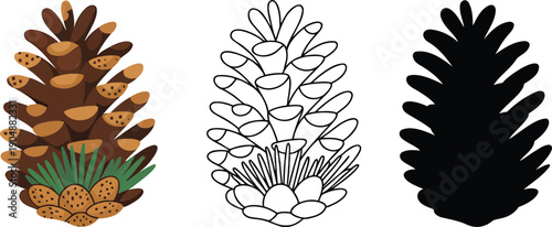 Pine cone silhouette & Outline and illustration set isolated on transparent background