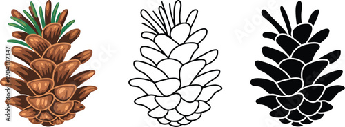 Pine cone silhouette & Outline and illustration set isolated on transparent background
