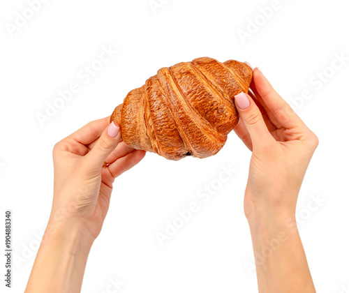 Fresh golden croissant held with both hands isolated, perfect for bakery advertising, chocolate croissant concepts, breakfast banners, food branding, menus, and clean pastry