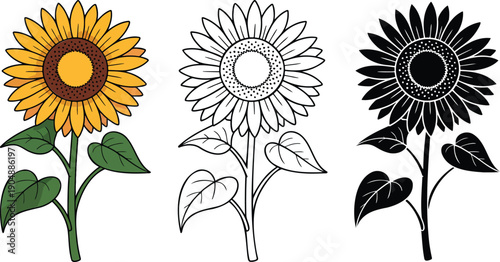 Sunflower silhouette & Outline and illustration set isolated on transparent background