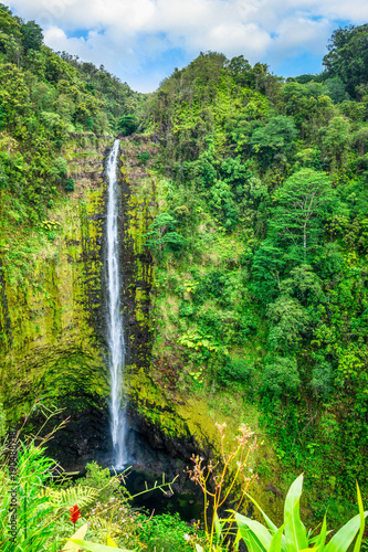 Majestic Akaka Falls waterfall located on Kolekole Stream on the Big Island of Hawaii, USA