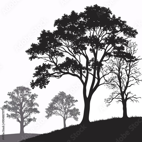 Three majestic trees standing tall on a hillside under a clear sky.