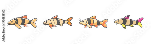 Bild auf Leinwand Four colorful clown loach fish swimming in different directions, vector illustration