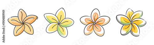 Four colorful plumeria flowers with delicate petals and watercolor effect
