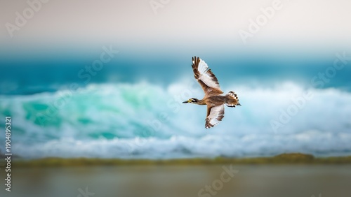 Принти на полотні he beach stone-curlew also known as beach thick-knee is a large, ground-dwelling bird that occurs in Australasia, the islands of South-east Asia
