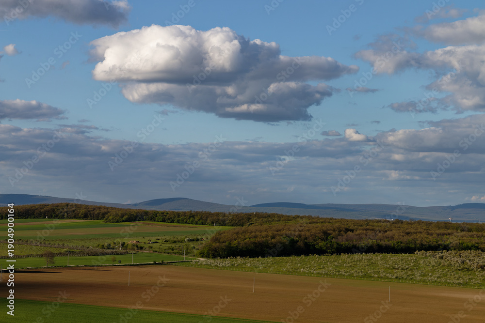 Naklejka premium Picturesque landscape with fields, trees, and a bright blue sky dotted with clouds.