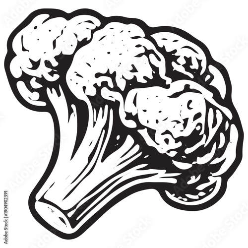 Vintage Broccoli Engraving Retro Vegetable Illustration Classic Freezer Food Woodcut Line Art