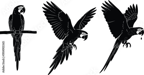 Black parrot silhouette set showing perched and flying macaw poses, tropical bird illustration for wildlife, nature, exotic animal, logo, tattoo and design use