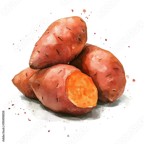 Sweet Potato, cute watercolor illustration with intricate patterns and vibrant splashes, isolated on a white background.