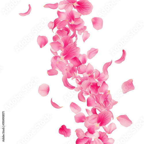 Delicate pink flower petals falling gently in air