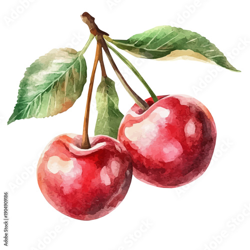 Sour Cherry, playful watercolor vector depicting lively antics and expressive gestures, isolated on a white background.