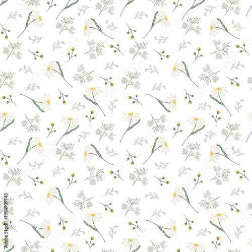 seamless floral white pattern with camomile, daisy, dill, wild flowers, repeat print for fabric, textile, cloth, wrapping paper 