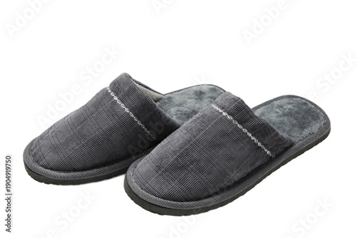 Cuadro en lienzo Household grey slippers isolated on white background