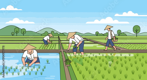 Farmers Planting Rice Seedlings in a Lush Green Paddy Field.