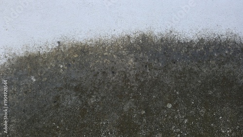 Tableau sur toile A surface of an old white plastered wall with black and dark green mold or moss stains