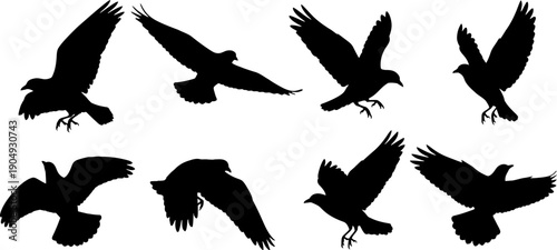 Collection of flying bird silhouettes in various poses and angles showcasing dynamic movements and shapes silhouette