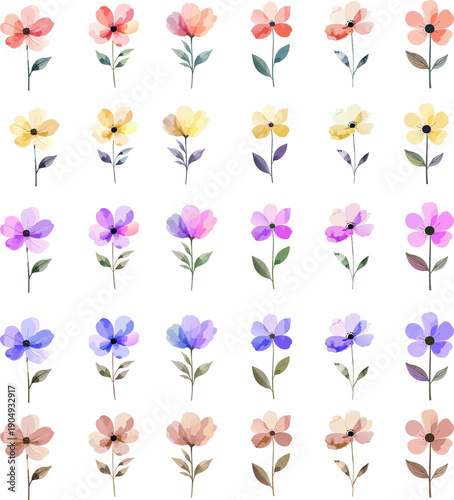 set of flowers watercolour style