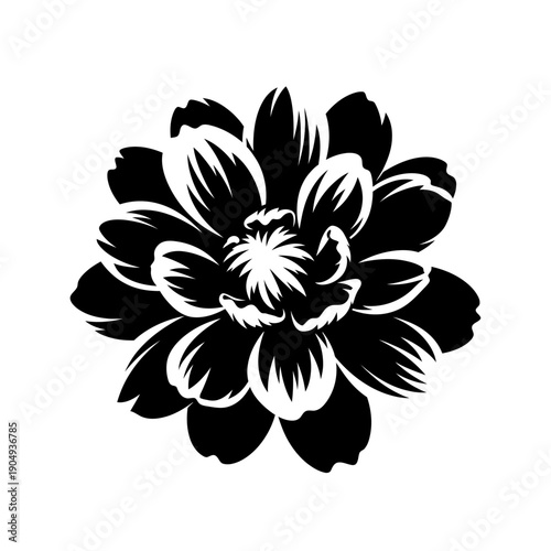 A striking black and white illustration of a single dahlia flower