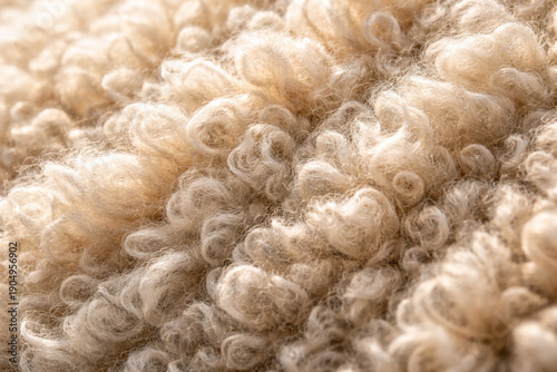 Close-up of soft, curly fibers with a warm, beige hue